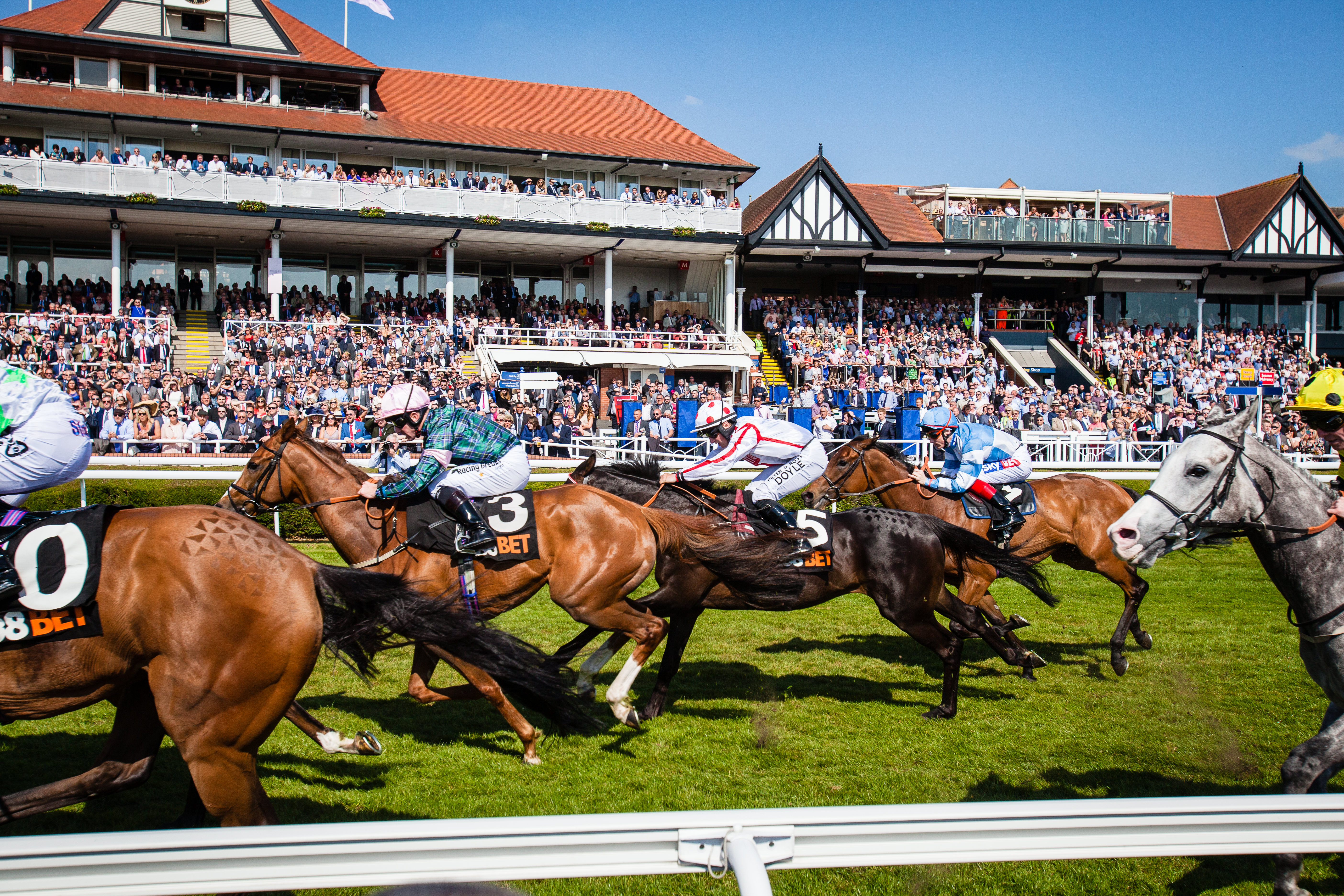Horses racing past the grandstand at Chester Racecourse