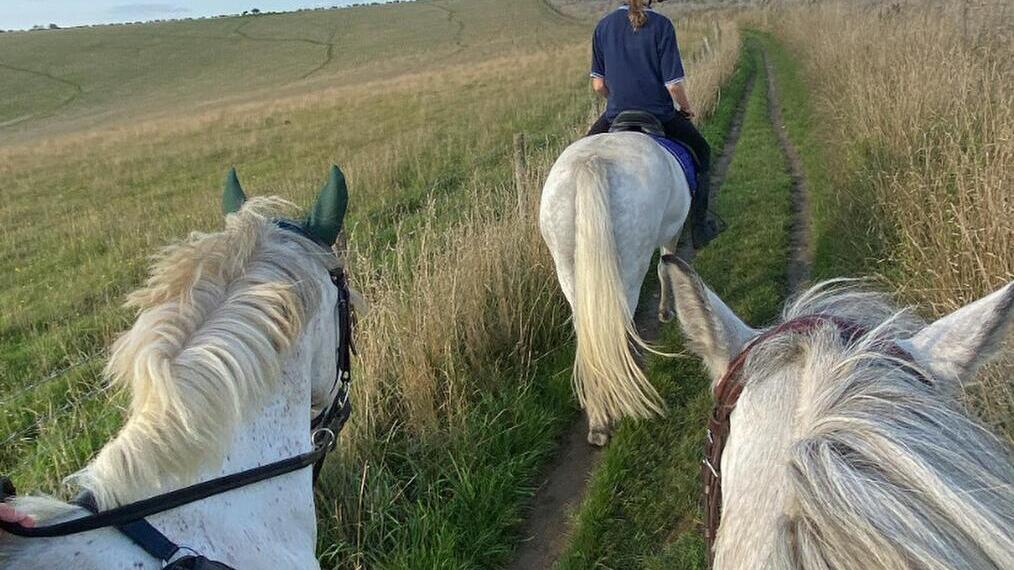 Hit the trail on horseback. Small group on horseback riding through a field.
