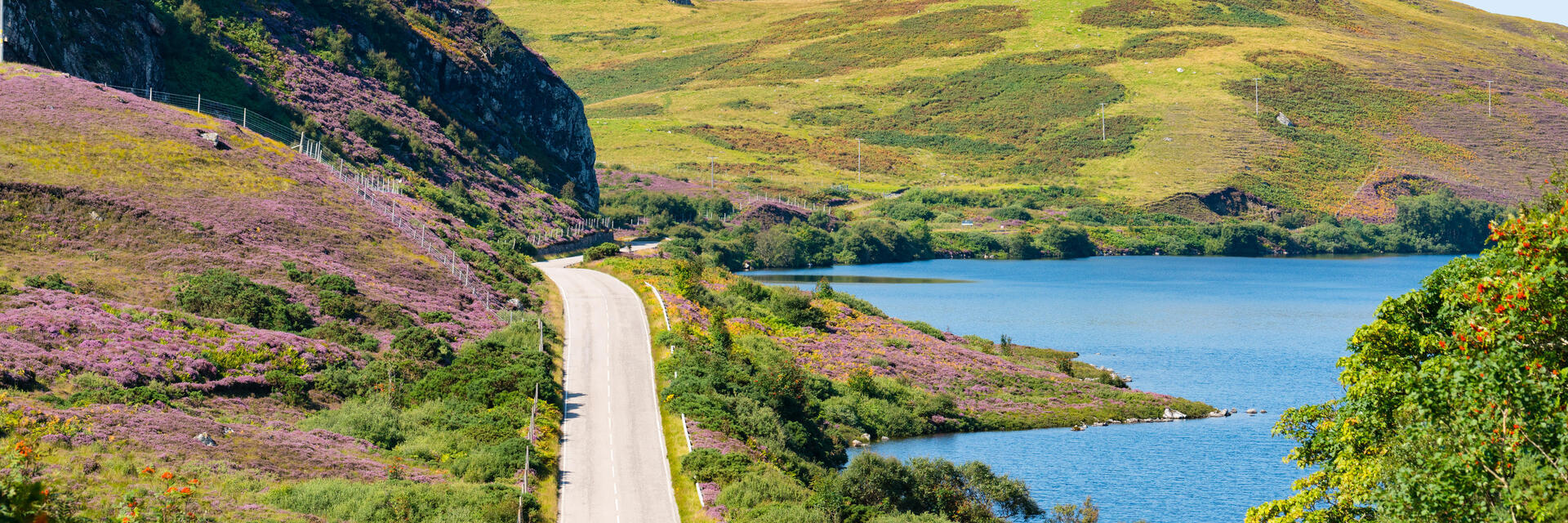 Eine Küstenstraße, die durch mit violettem Heidekraut bewachsene Hügel führt, rechts davon das blaue Meer