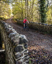 Cyclist in red vest riding on a road over a stone bridge
