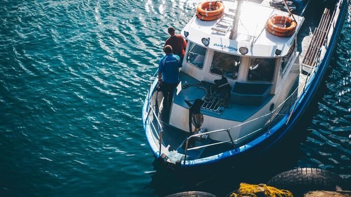 Skomer Island, Pembrokeshire, Wales, Großbritannien