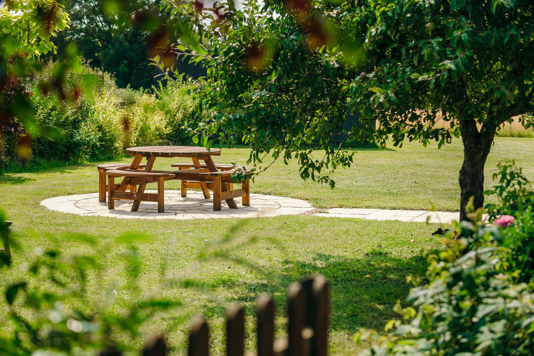 Garden with picnic table