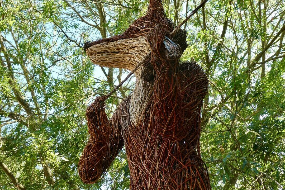 Giant wicker fox playing a fiddle, Cambridge Folk Festival 2022.