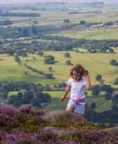 A child walking in the heather covered moors.