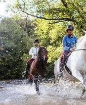 Horses and riders trotting through the shallow water.