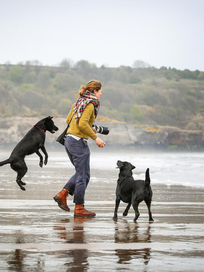 Mujer y dos perros en una playa