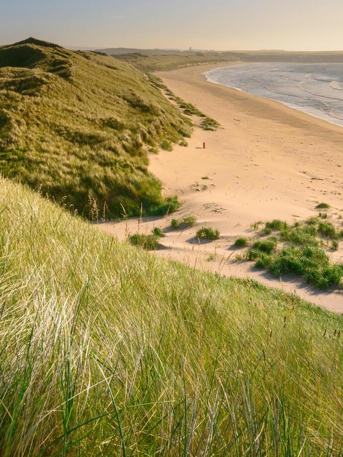 Green hills rolling onto a sandy beach with the ocean visible to the right.