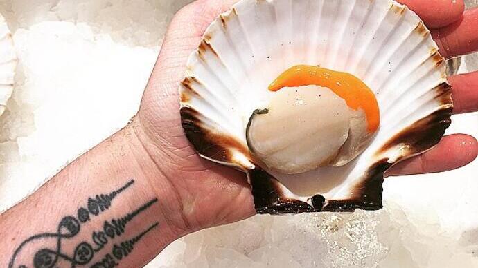 Eine Person, die eine Rye-Jakobsmuschel hält