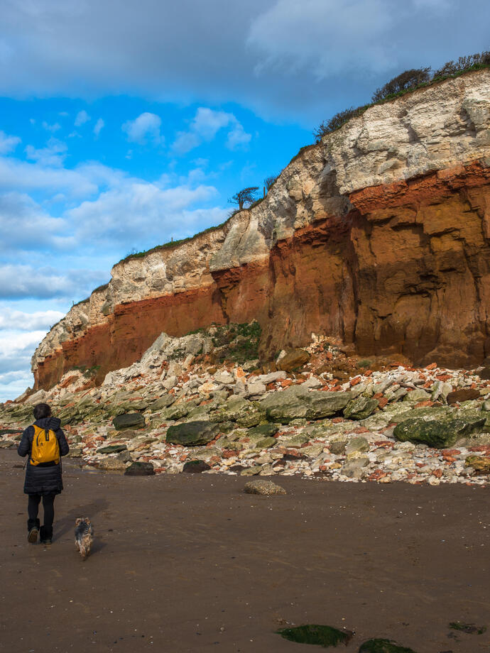 Man and a dog walking along the beach by cliffs where white chalk overlays red limestone in a colourful formation. Known as the Candy Cliffs.