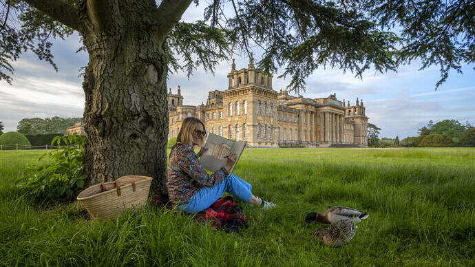 Woman sat under a tree sketching in the grounds of a large country estate