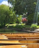 Rows of kayaks lined up on the shore at Bath Boating Station