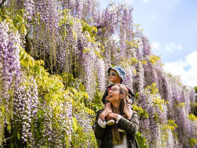 Woman and child looking at tree blossom