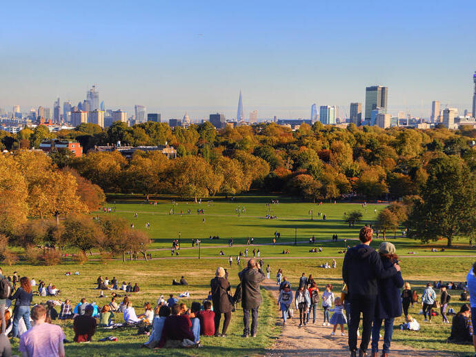 Sunny autumn view over a park with a city skyline in the background