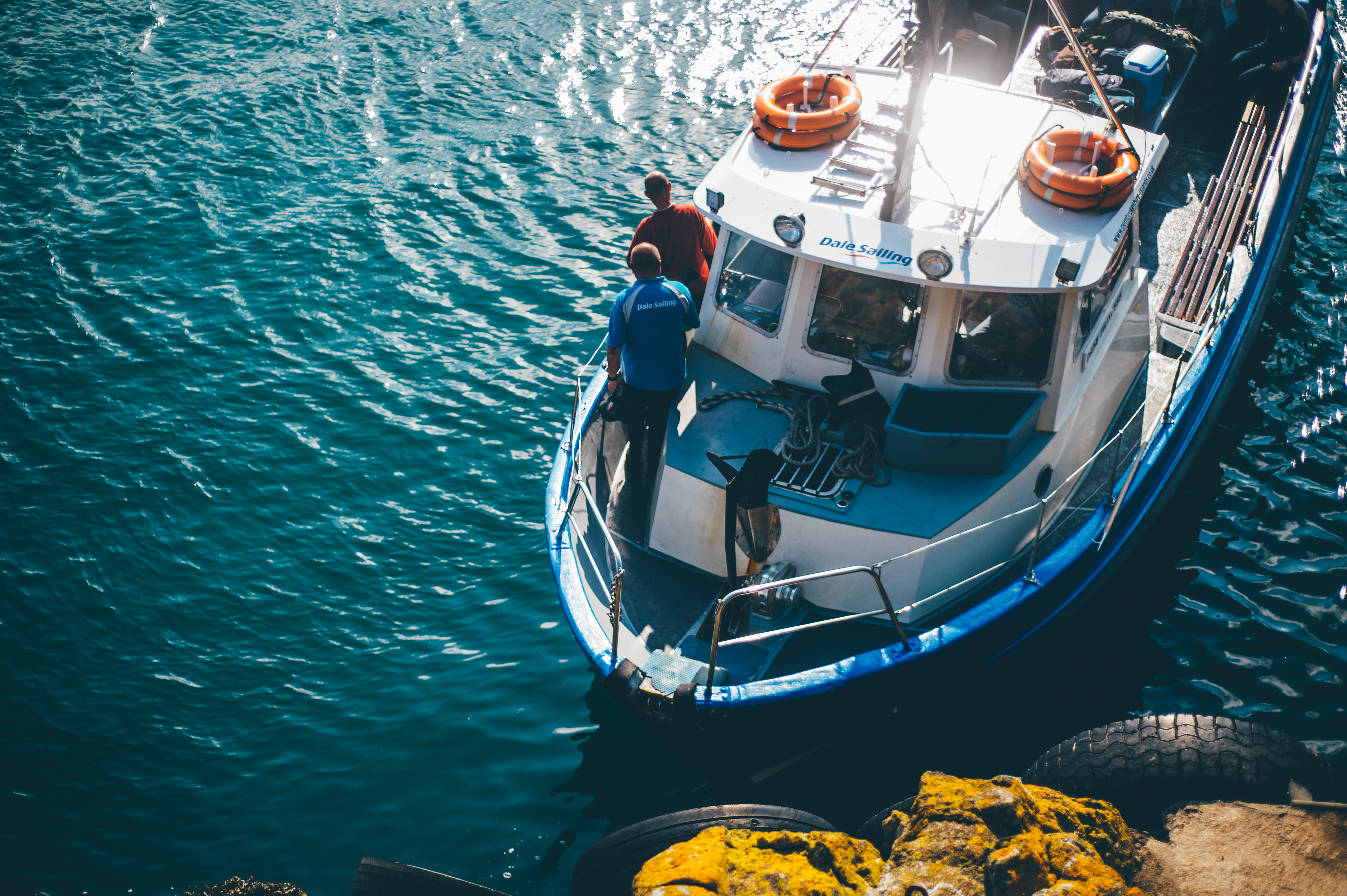 Skomer Island, Pembrokeshire, Wales, Großbritannien