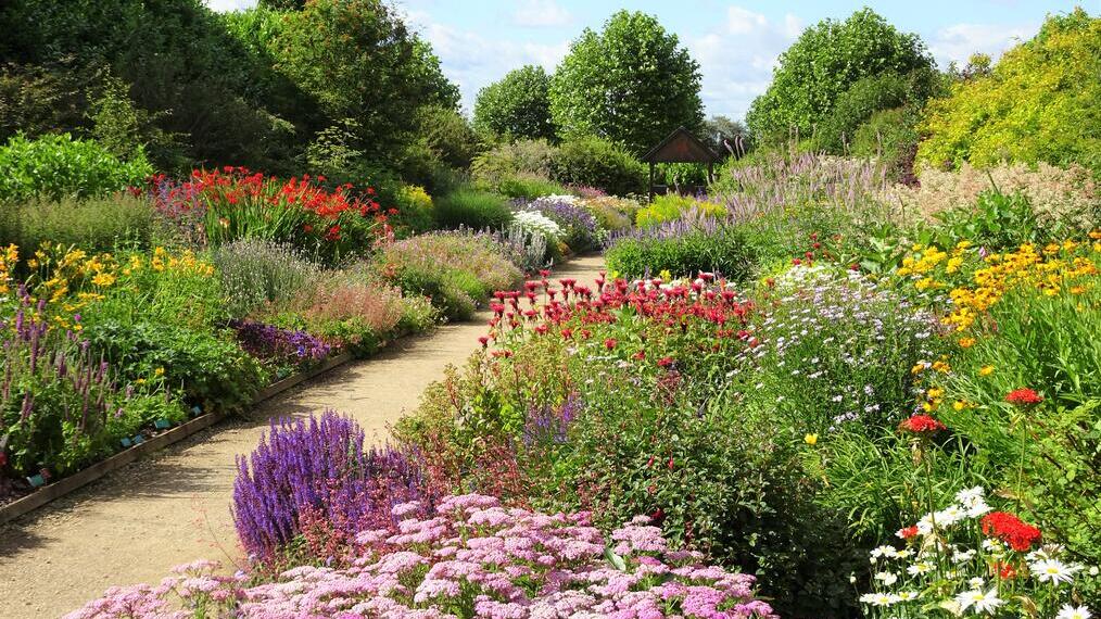 Ramos de flores creciendo en los jardines Breezy Knees de York