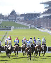 Chevaux avec jockeys participant à une course hippique