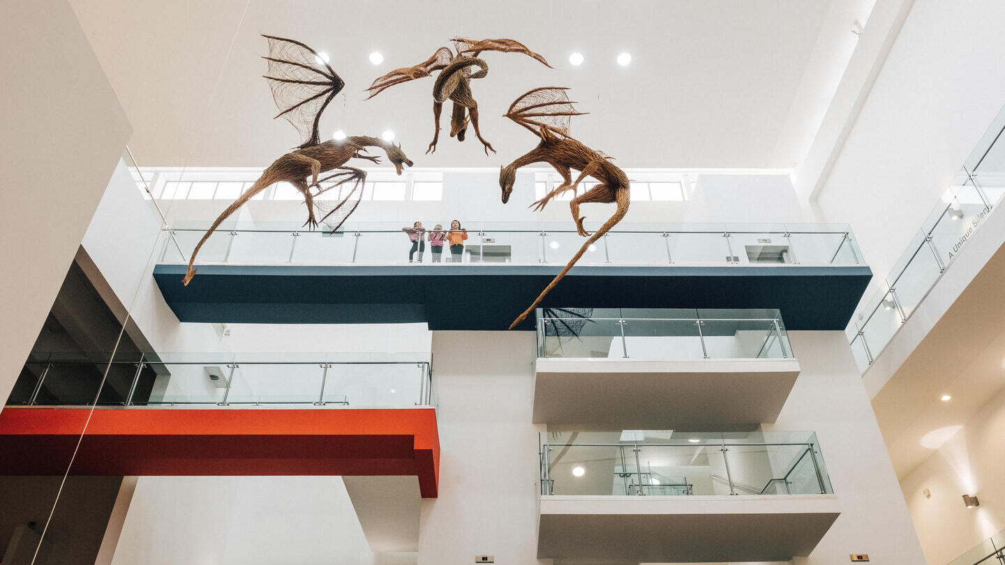 Opera d'arte nell'Ulster Museum