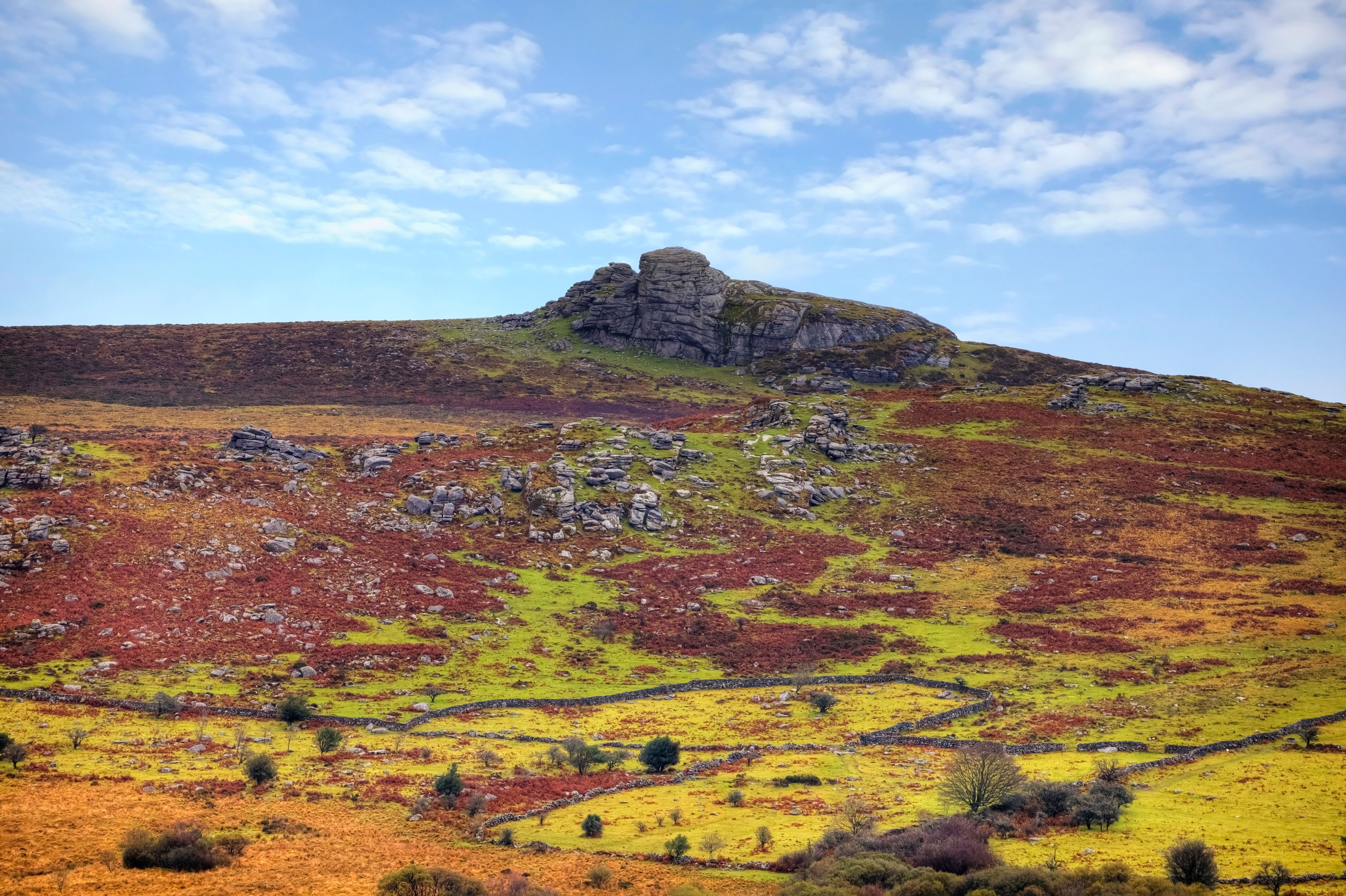 Un affleurement rocheux sur une colline dans un parc national.
