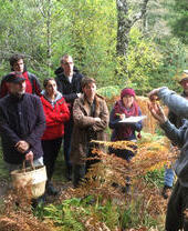 A group of people on a foraging tour on the outskirts of London