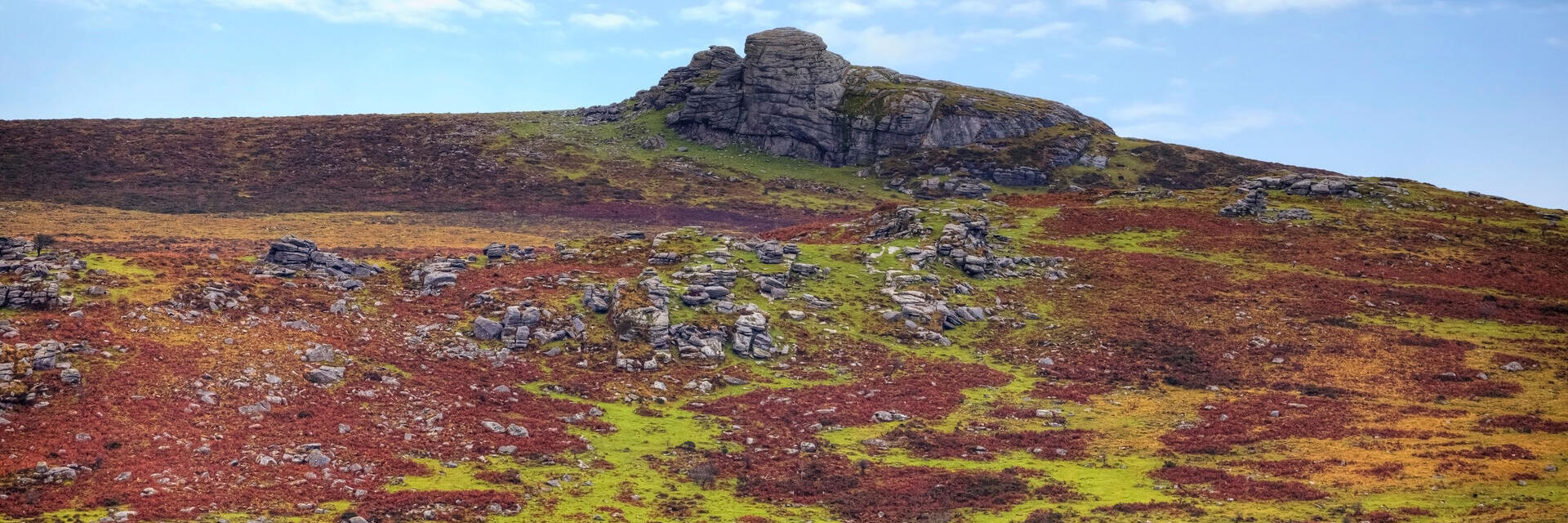 A rocky outcrop on a hill in a national park