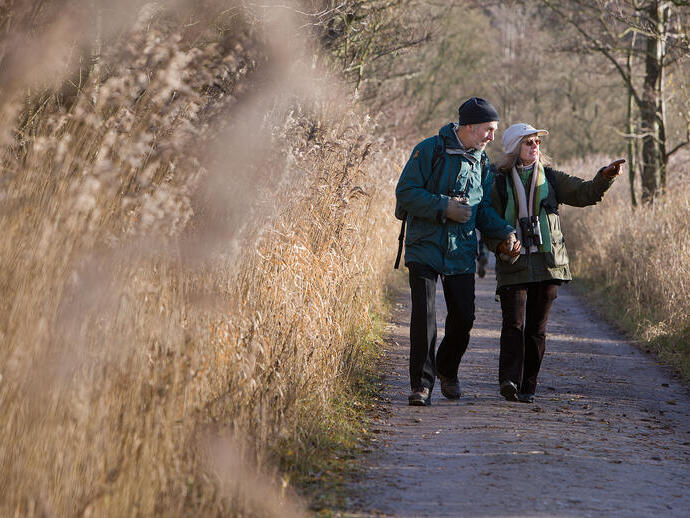 Two people dressed for cool weather walk along a nature trail surrounded by tall, dry grasses and bare trees.