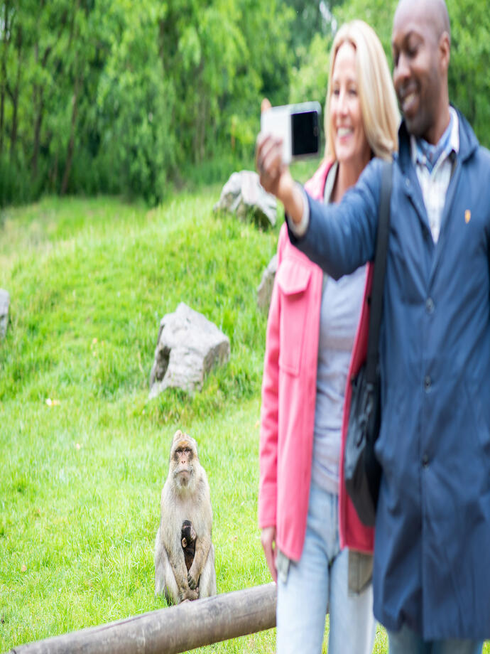 A Barbary monkey with her baby sits watching a man and a woman taking a selfie