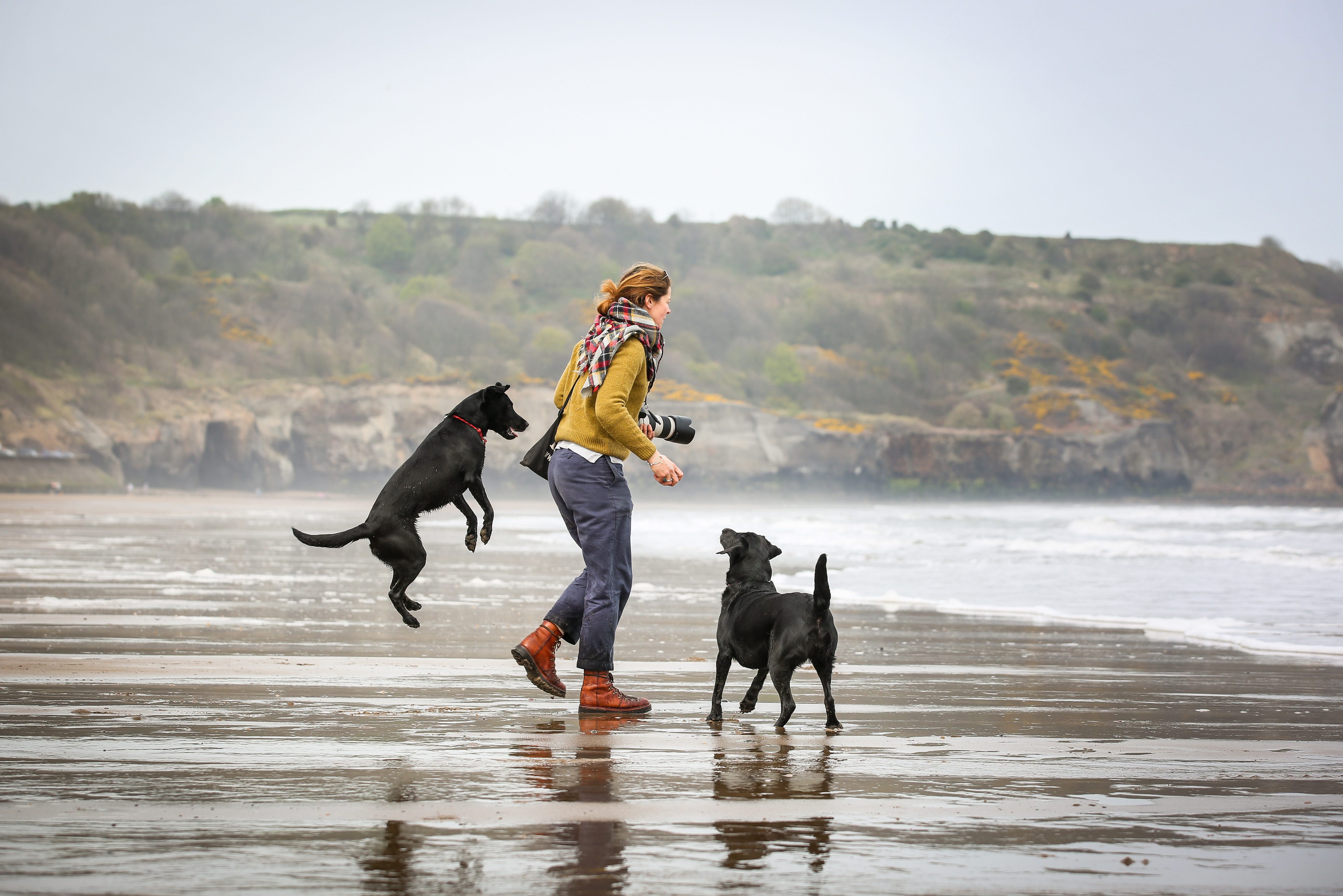 Une femme et deux chiens sur une plage