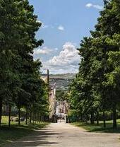 Trees and grass line a hilly path