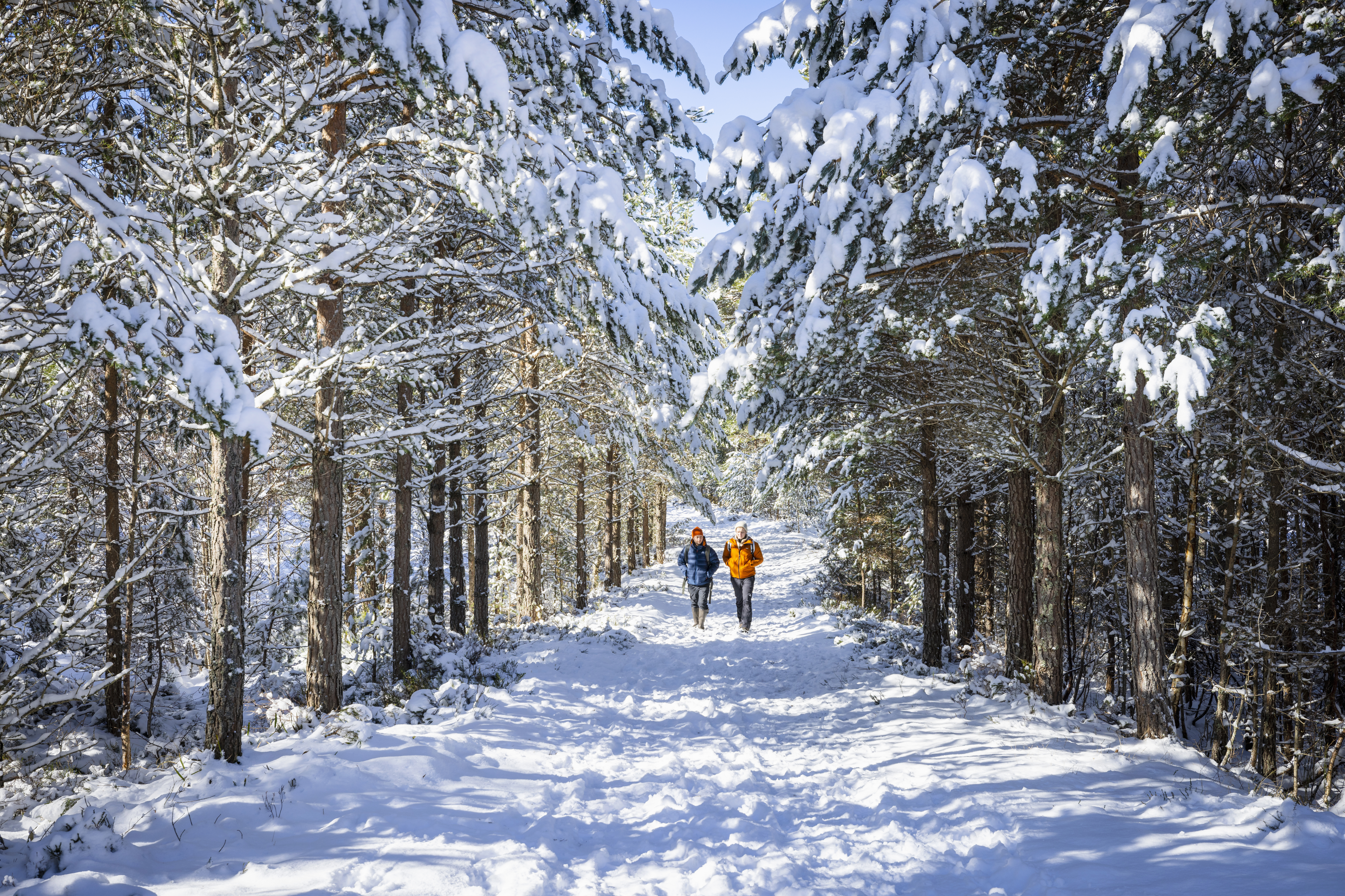 Deux personnes marchant dans la neige au Glenmore Forest Park