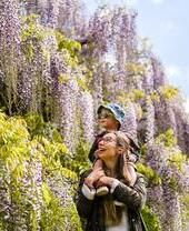 Woman and child looking at tree blossom