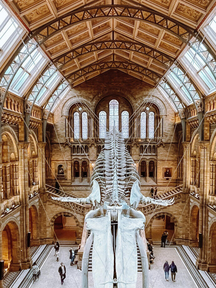 Grand museum hall with arched windows, vaulted ceiling, and large dinosaur skeleton on display, visitors walking below.