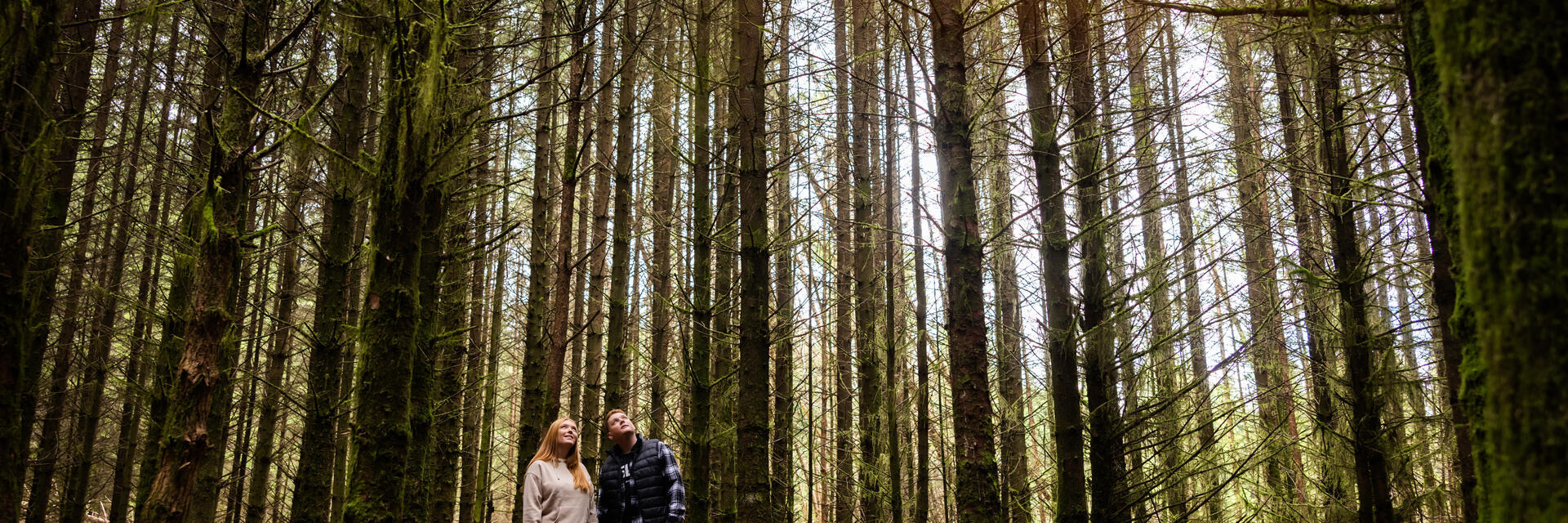 A man and a woman stand among tall trees in a forest