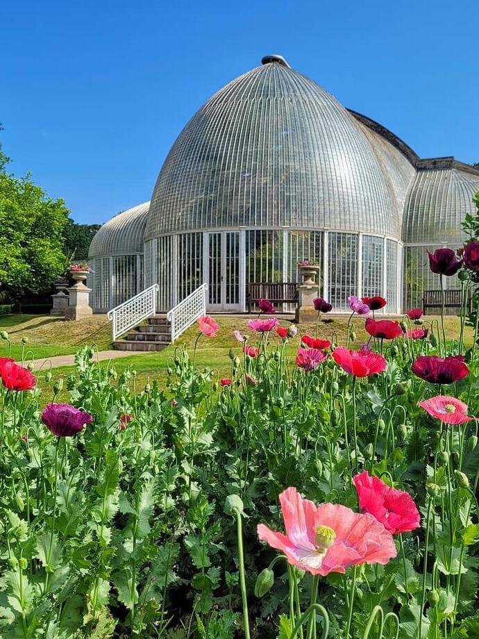Les jardins botaniques de Bicton Park