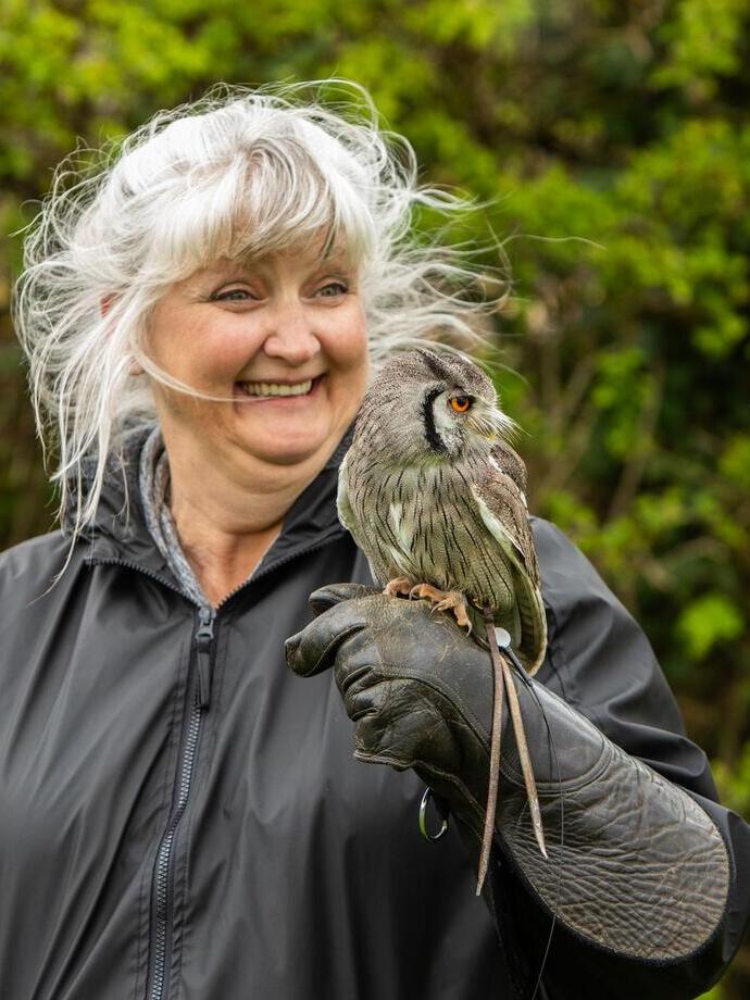 Passeggiate con i falchi