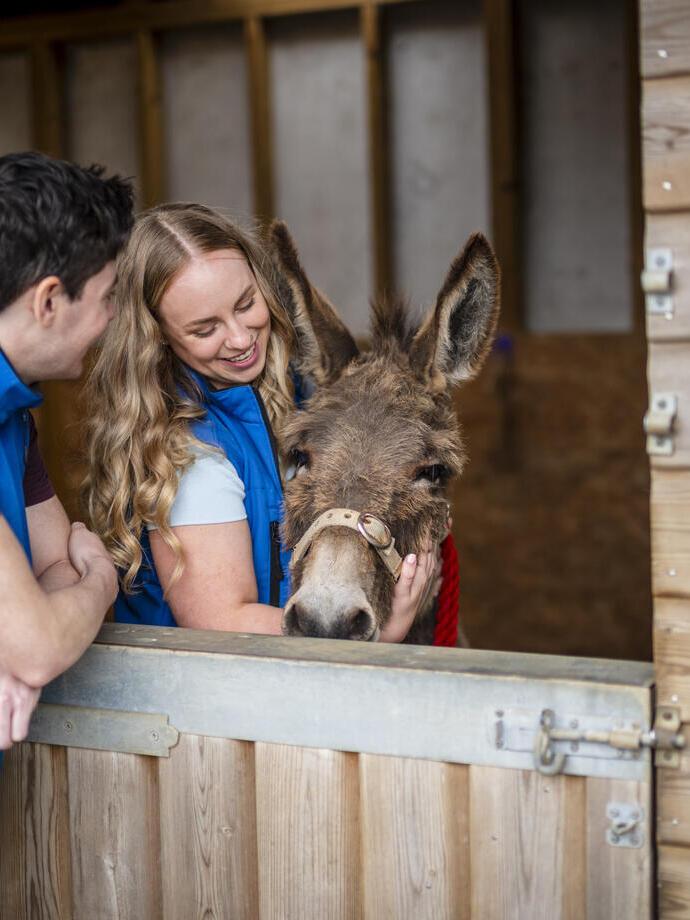 A man leans on a stable door while a woman smiles and strokes a donkey in a stable