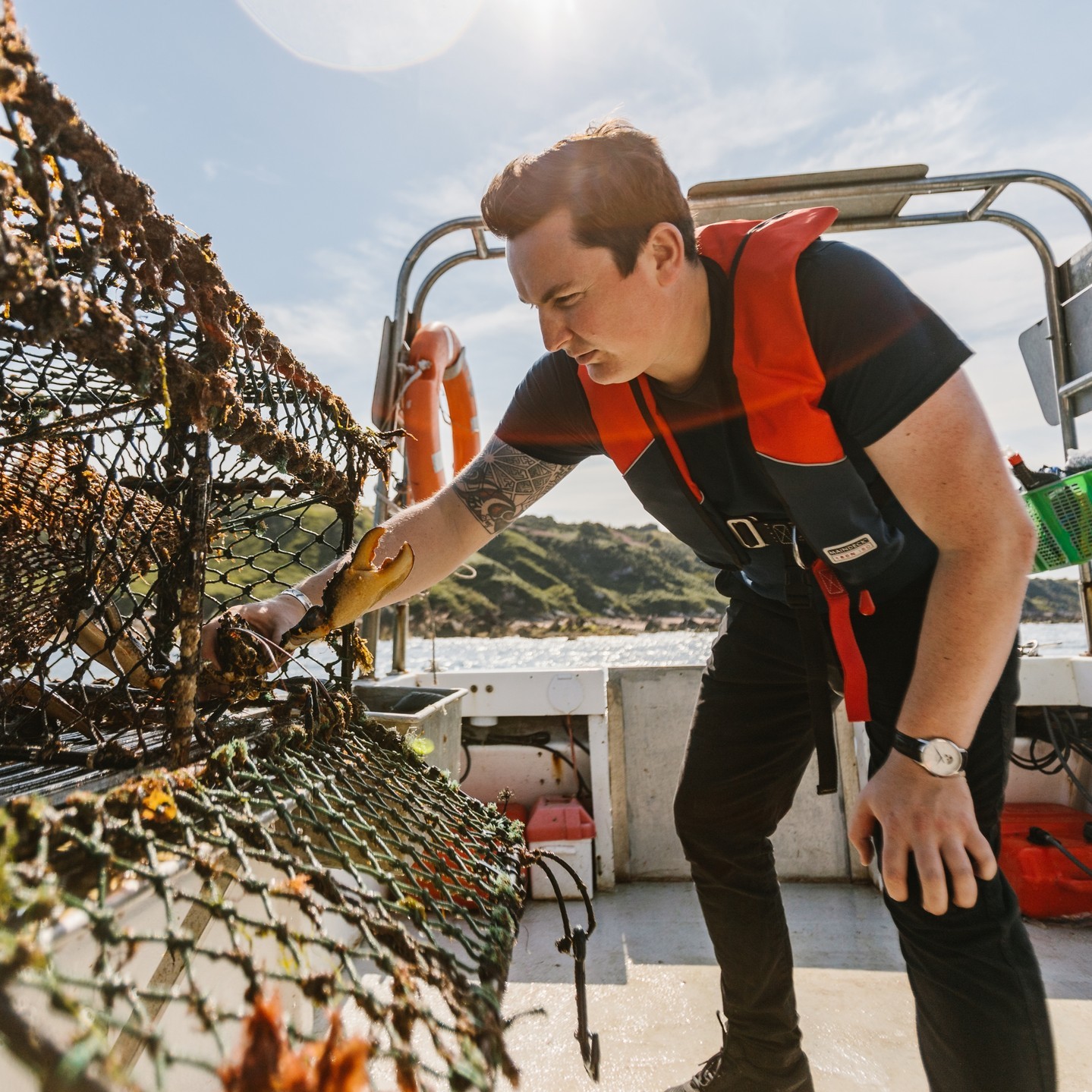 Man on boat looking into a crab net, Haar, Scotland.