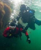Deux personnes faisant de la plongée sous-marine