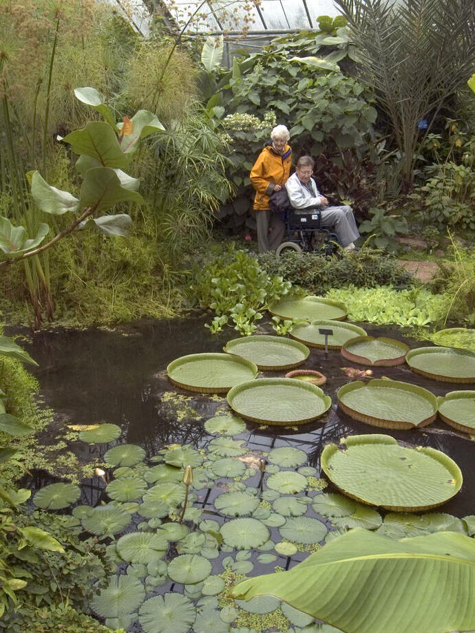 Two people admiring a pond filled with lilypads in a botanical garden.