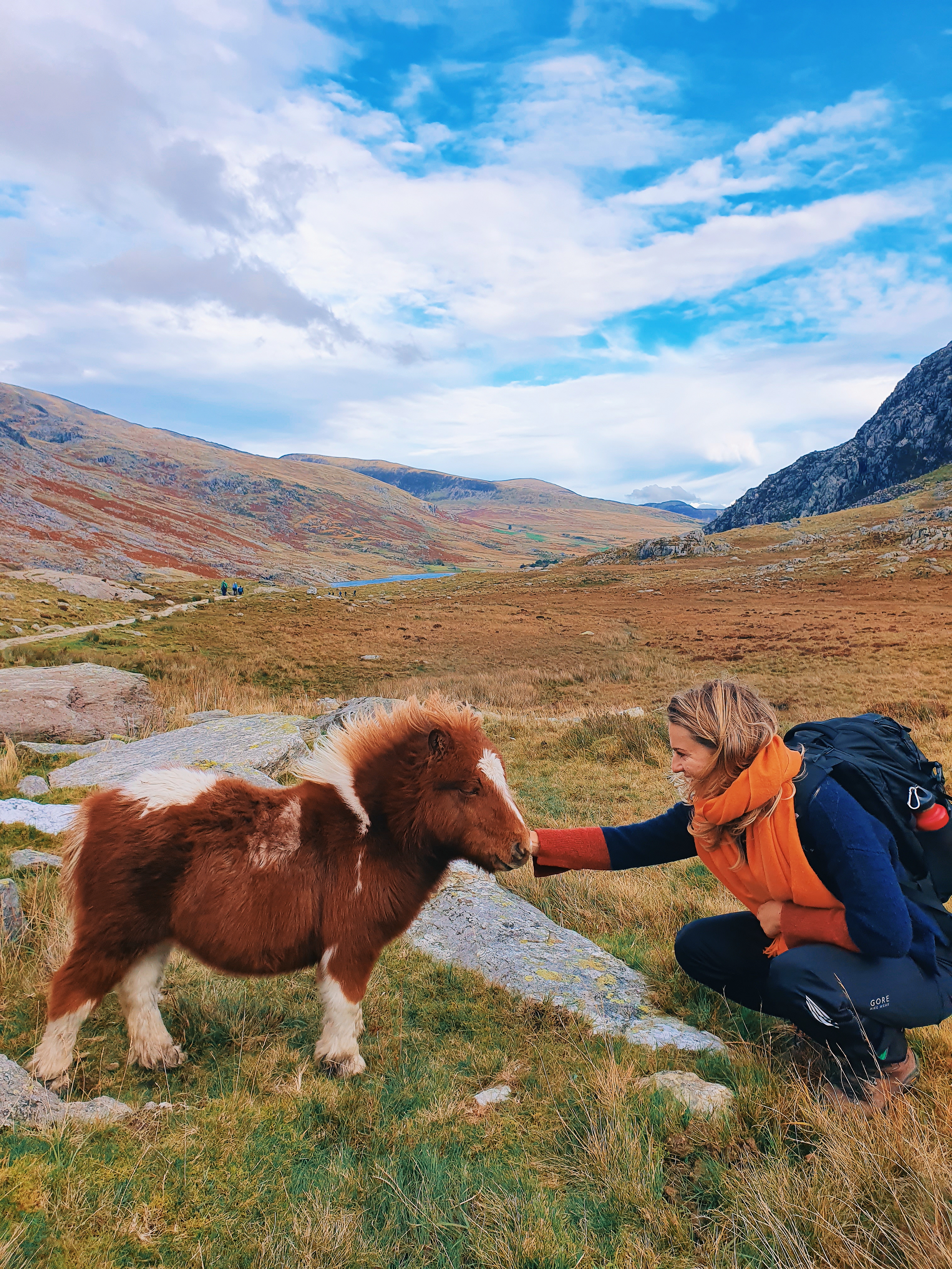 Vrouw die een kleine wilde pony aait in een met gras begroeide vallei