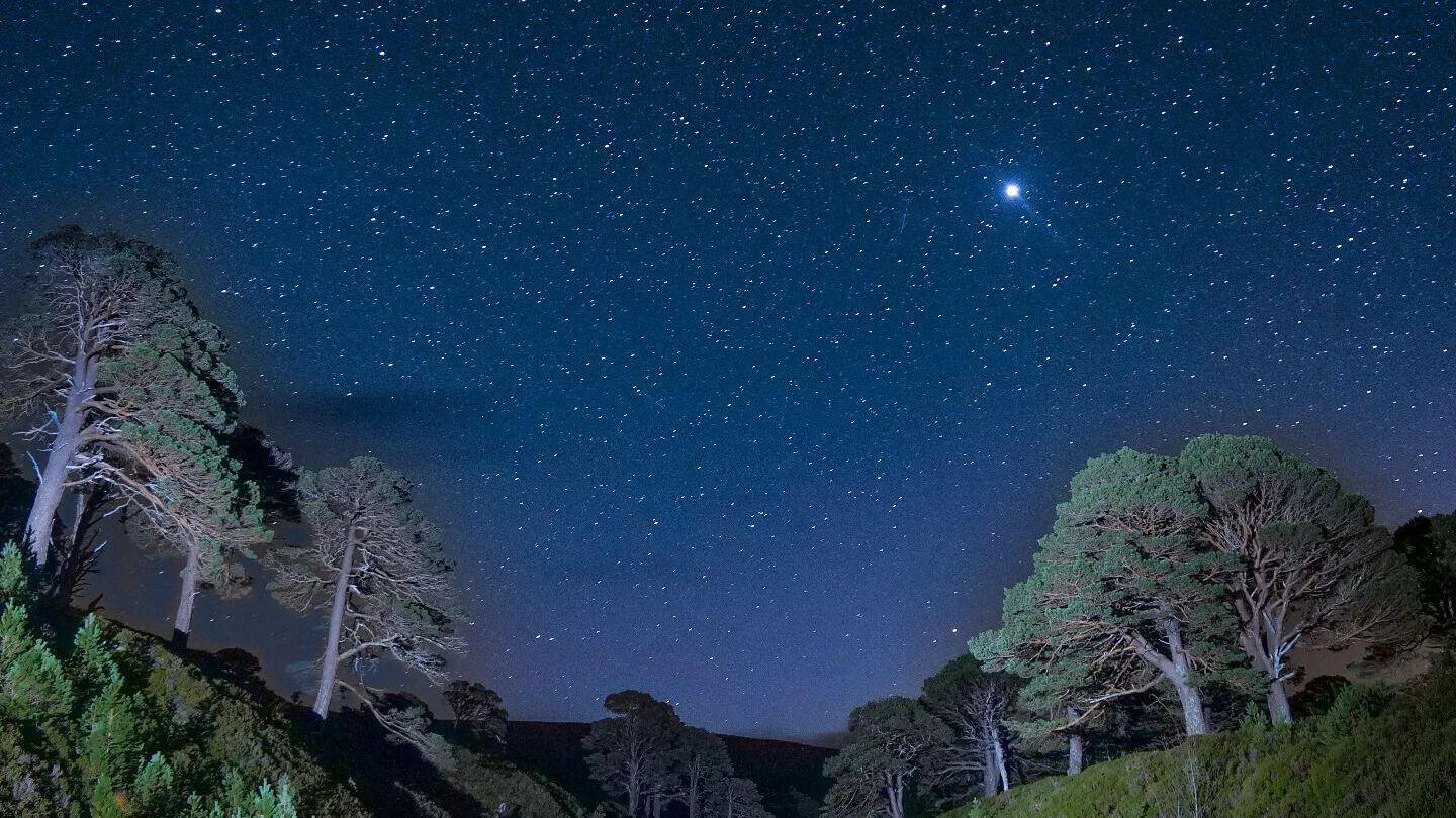 Observación de estrellas en el Parque Nacional de Cairngorms