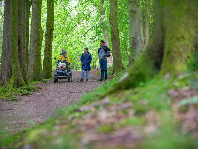 A man and two women enjoy the outdoors in woodland