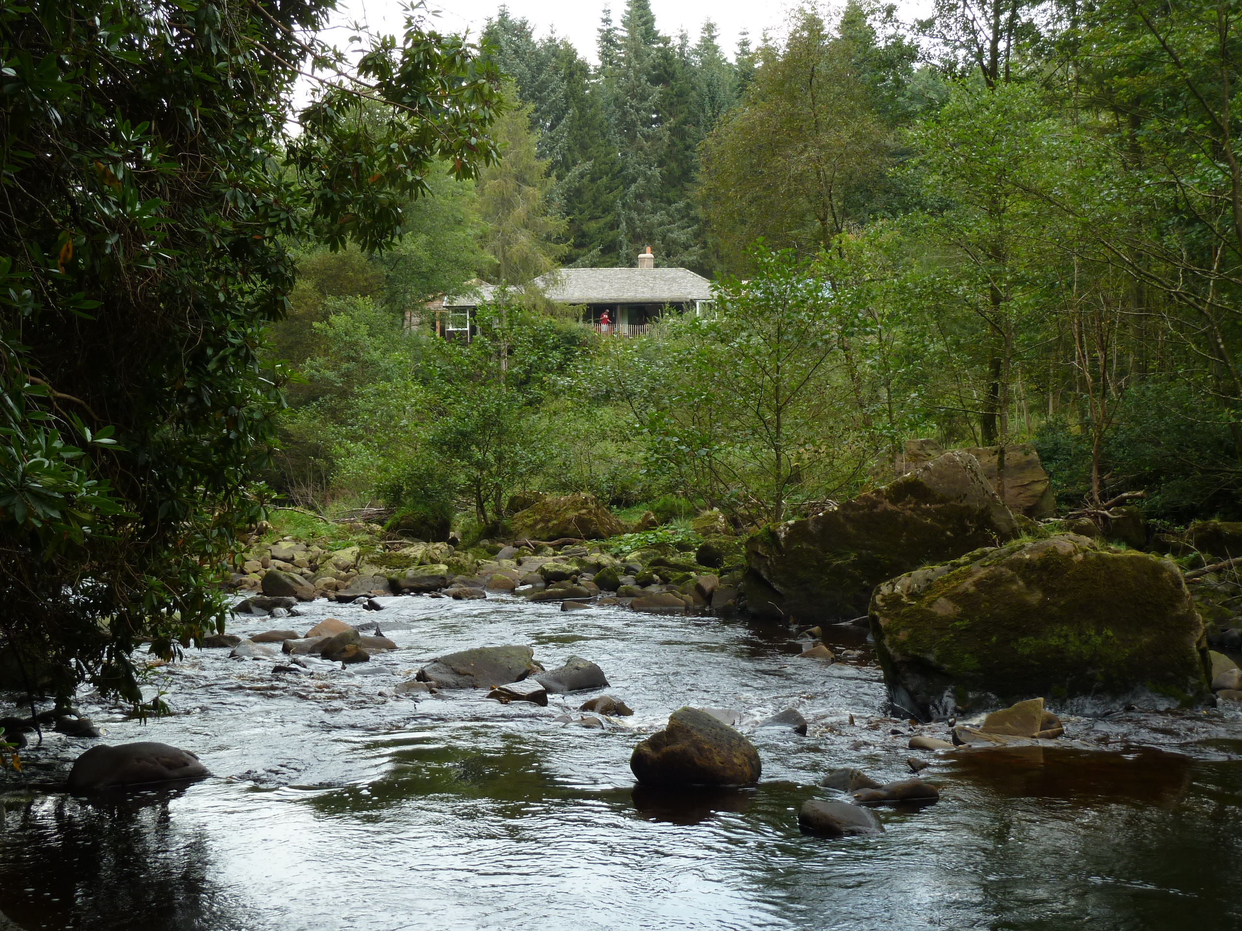 A long distance shot of a river and a holiday cottage surrounded by trees