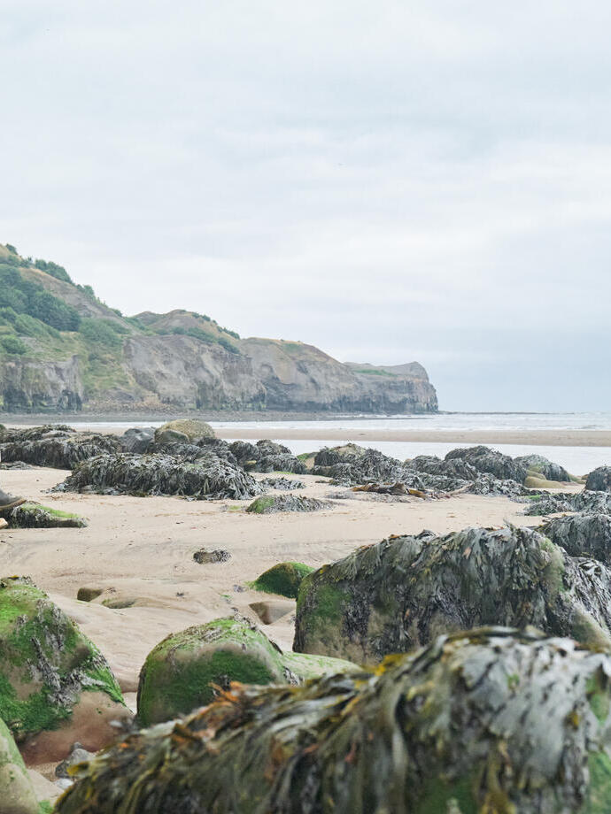 Man and woman on the beach