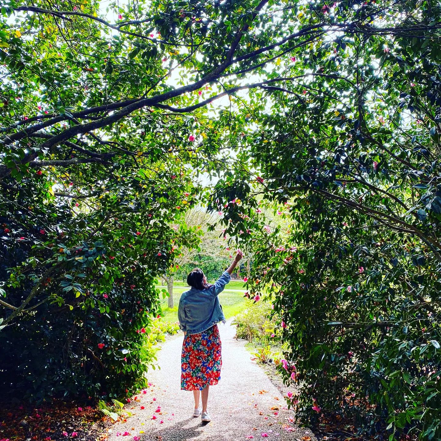 امرأة تحمل كلبًا أمام بحيرة في حديقة سافيل، ويندسور