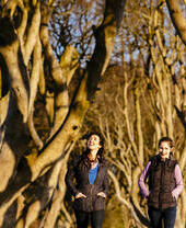People walking on path between tall intertwined trees