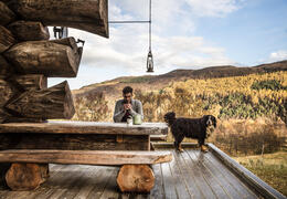 Eagle Brae log cabins