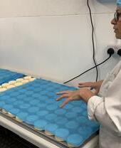 A tour of Teesdale Cheesemakers, looking at the creation of local cheeses