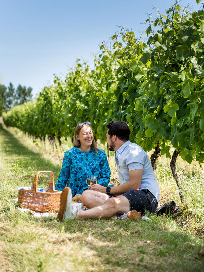 Man and woman having a picnic in a vineyard