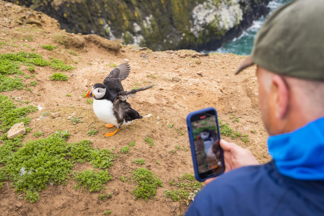 A man taking pictures of a puffin on a cliff