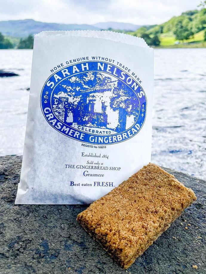 Closeup of Grasmere Gingerbread on a rock by a lakeside